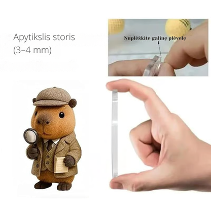 Kollektorsari kapübara advendikalender 2025